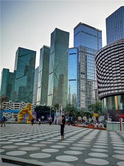 广州抓龙筋是什么